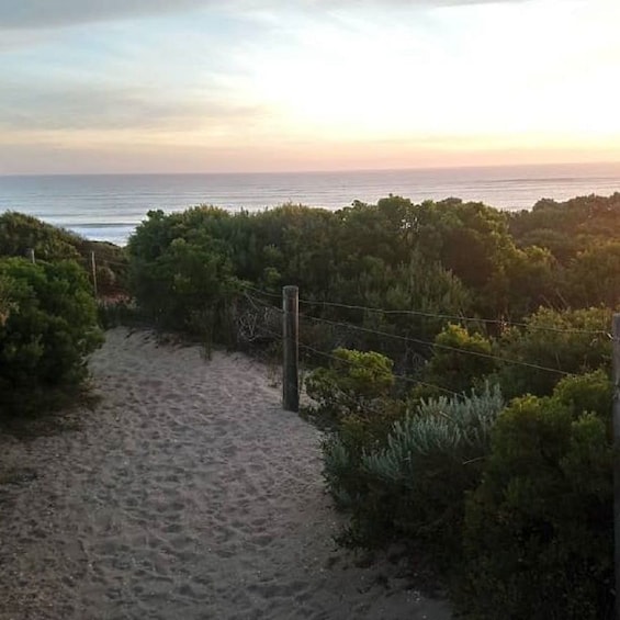 Show item 3 of 5. Full-Day Great Ocean Road Surfing Tour