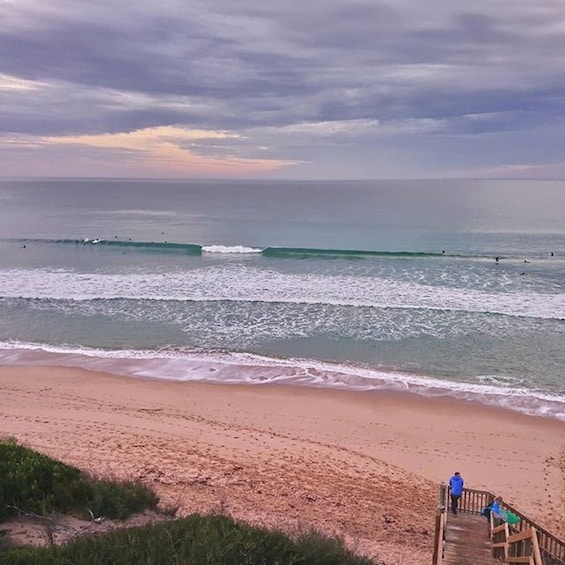 Show item 2 of 5. Full-Day Great Ocean Road Surfing Tour