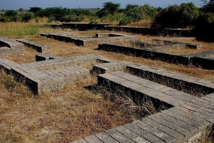 Nal Sarovar Bird Sanctuary & Lothal Ancient City of Indus Valley Tour