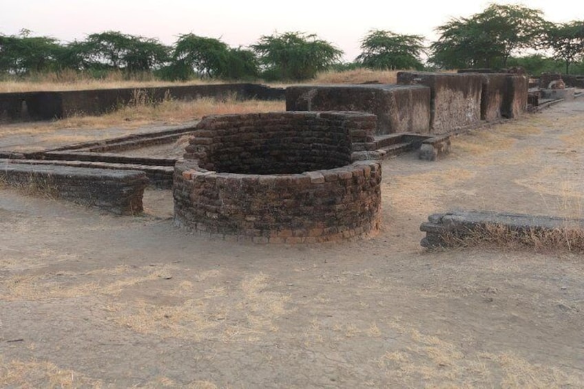 Nal Sarovar Bird Sanctuary Lothal Ancient City Indus Valley Tour from Ahmedabad