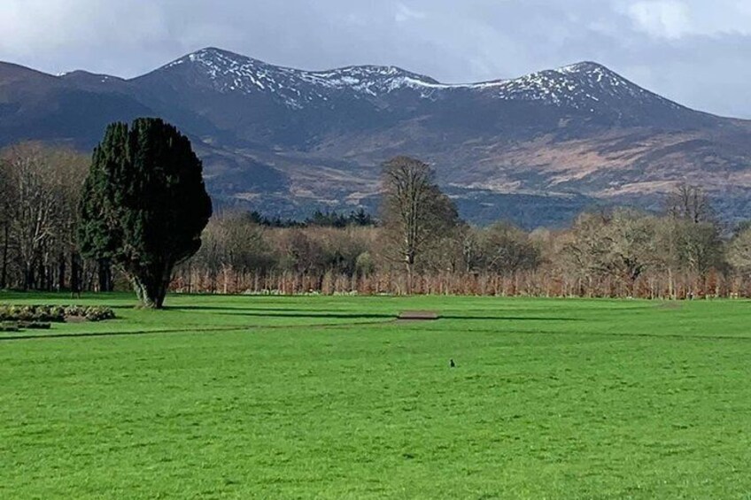 View from Killarney House 
