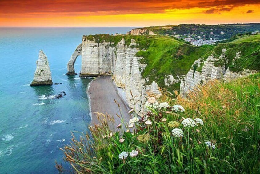 Private tour to Durdle Door, Corfe Castle, New Forest