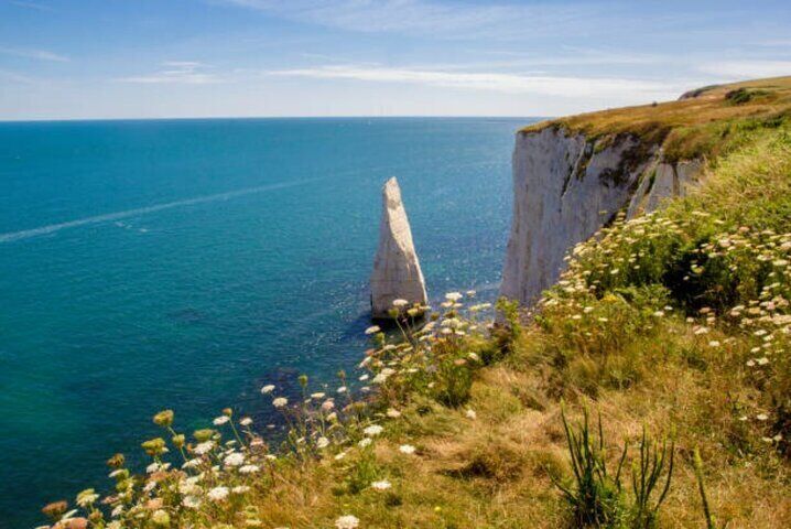 Private tour to Durdle Door, Corfe Castle, New Forest