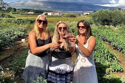 Wine tour Korčula - private tour