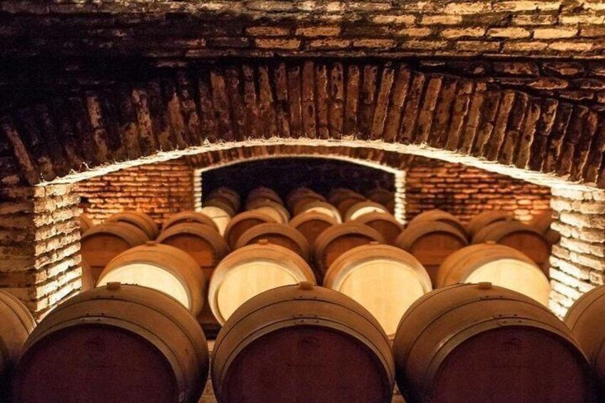 Santa Rita Vineyard