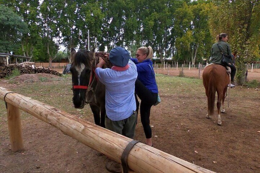 Horseback ride through vineyards followed by gourmet lunch