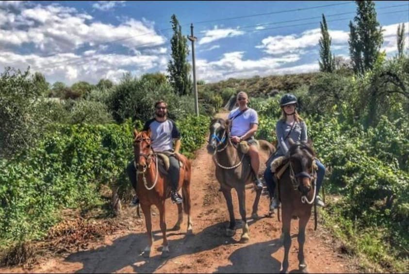 Horseback ride through vineyards followed by gourmet lunch