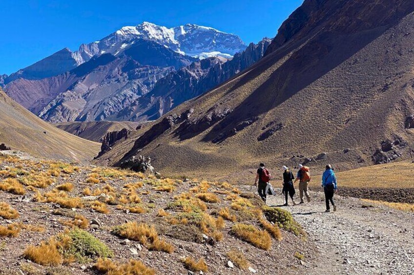 Aconcagua Day Hiking and Trekking Tours 