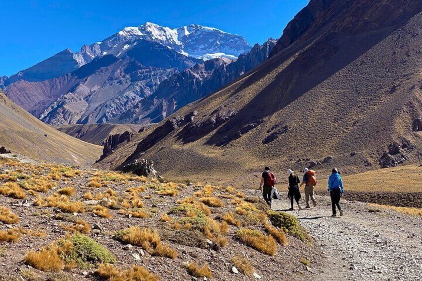 Aconcagua Day Hiking and Trekking Tours