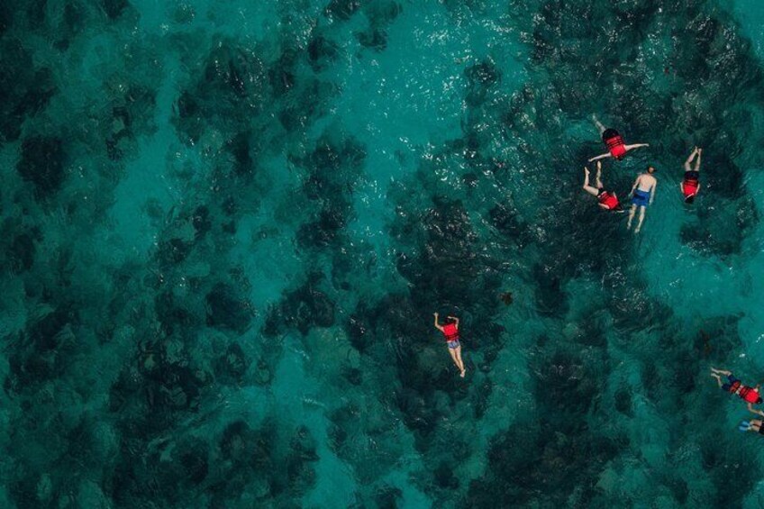 Private Guided Snorkeling Tour in West Bay