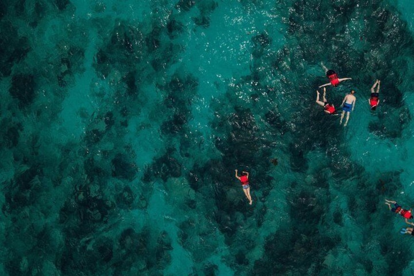 Private Guided Snorkeling Tour in West Bay
