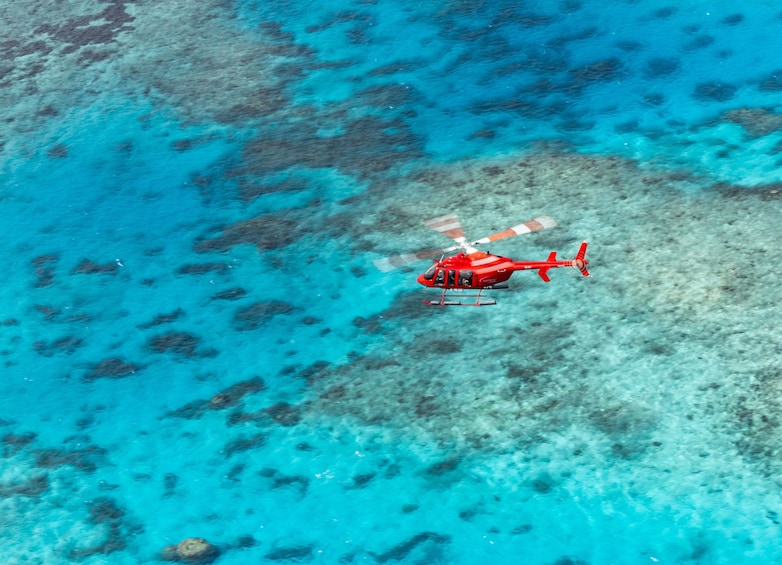 Activity Great Barrier Reef Scenic Helicopter Flight(30reef)