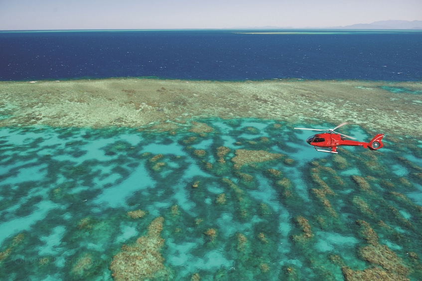 Activity Great Barrier Reef Scenic Helicopter Flight(30reef)