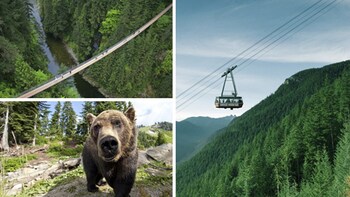 North Shore Capilano Bridge & Grouse Mountain Tour
