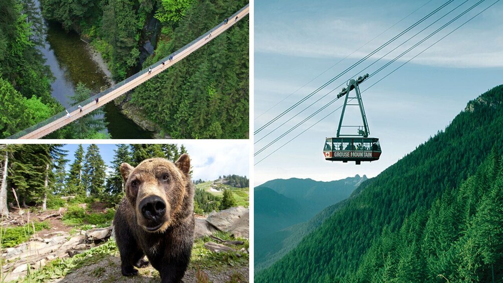 North Shore Capilano Bridge & Grouse Mountain Tour