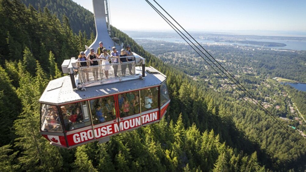 North Shore Capilano Bridge & Grouse Mountain Tour