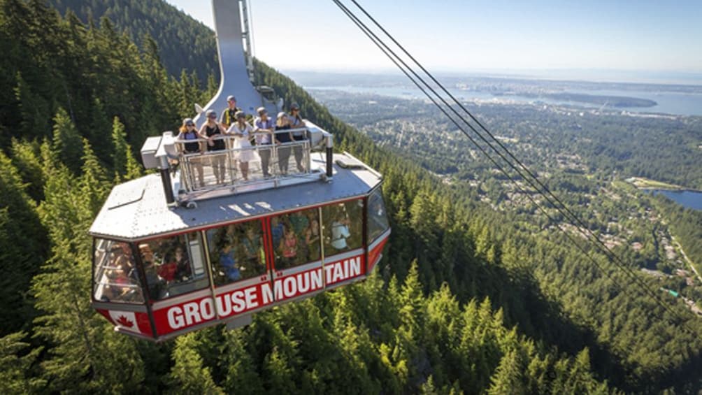 North Shore Capilano Bridge & Grouse Mountain Tour