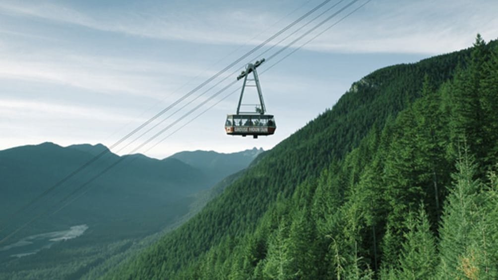 North Shore Capilano Bridge & Grouse Mountain Tour