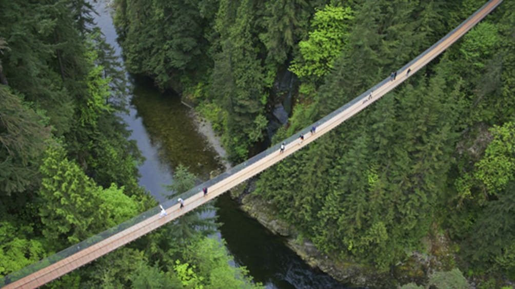 North Shore Capilano Bridge & Grouse Mountain Tour
