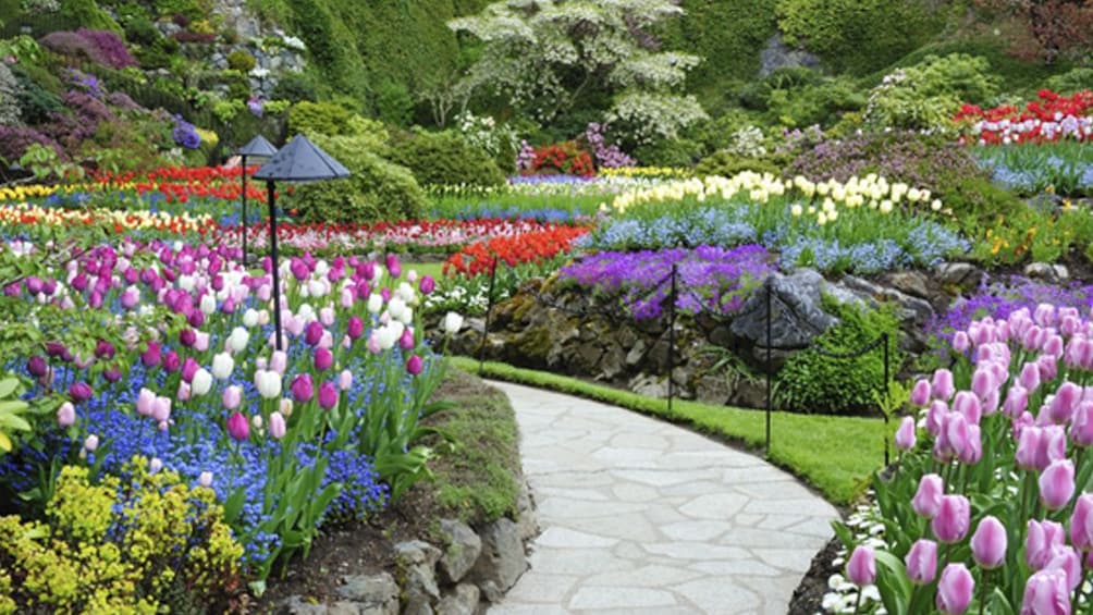 Victoria & Butchart Gardens Tour from Vancouver Small Group