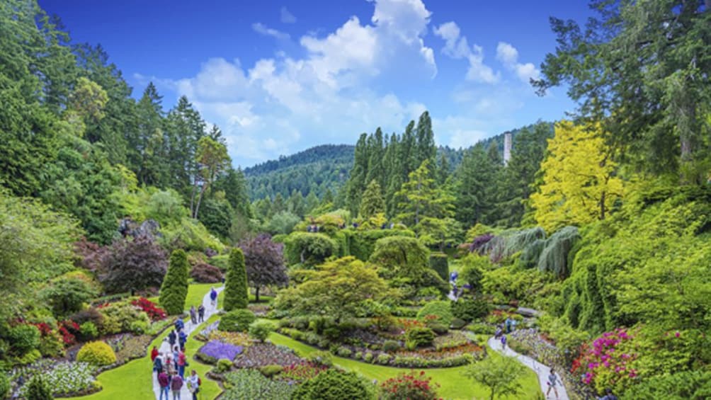 Victoria & Butchart Gardens Tour from Vancouver Small Group