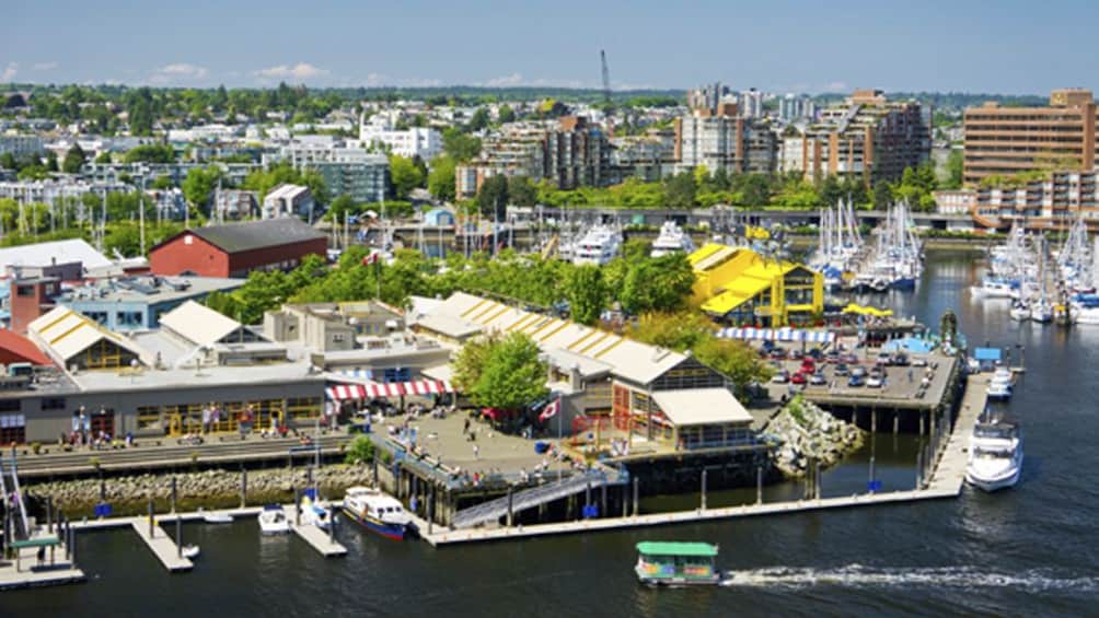 Best of Vancouver City Half Day Tour