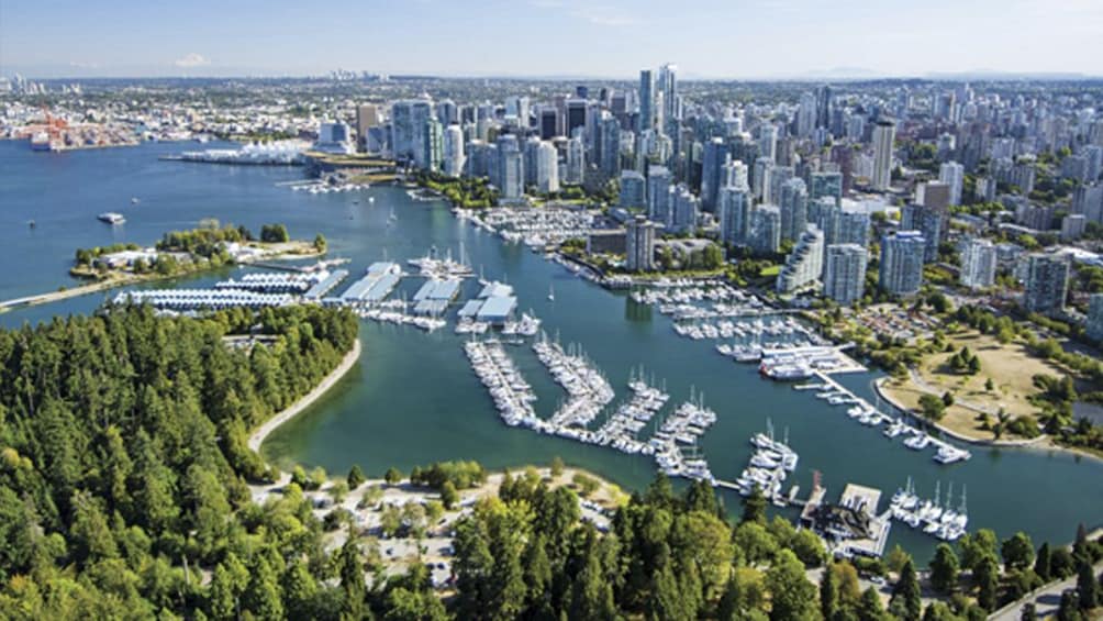 Best of Vancouver City Half Day Tour