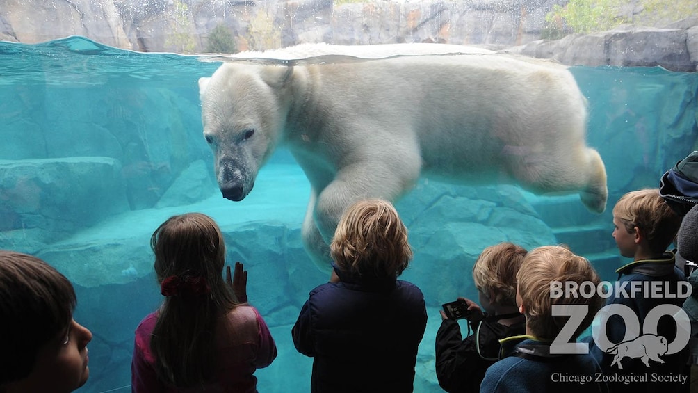 Apri foto 5 di 10. Go Chicago Explorer Pass: Choose 3, 4 or 5 Top Attractions