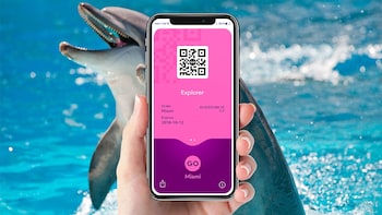 Go Miami Explorer pass: Choose 3, 4 or 5 Tours & Attractions