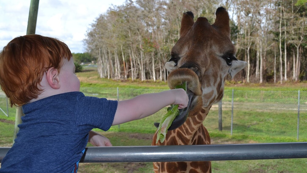 Go Miami Explorer pass: Choose 3, 4 or 5 Tours & Attractions