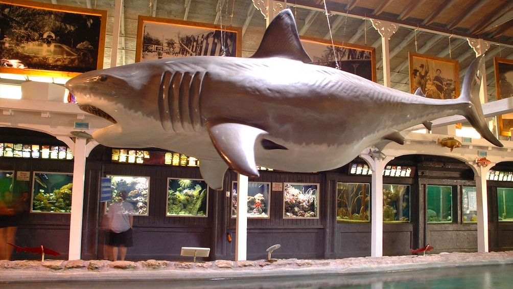 Go Miami Explorer pass: Choose 3, 4 or 5 Tours & Attractions