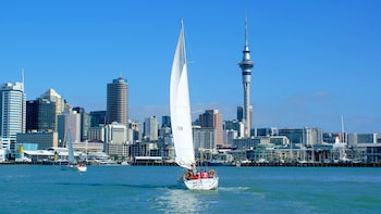 Auckland Harbour Sailing Cruise