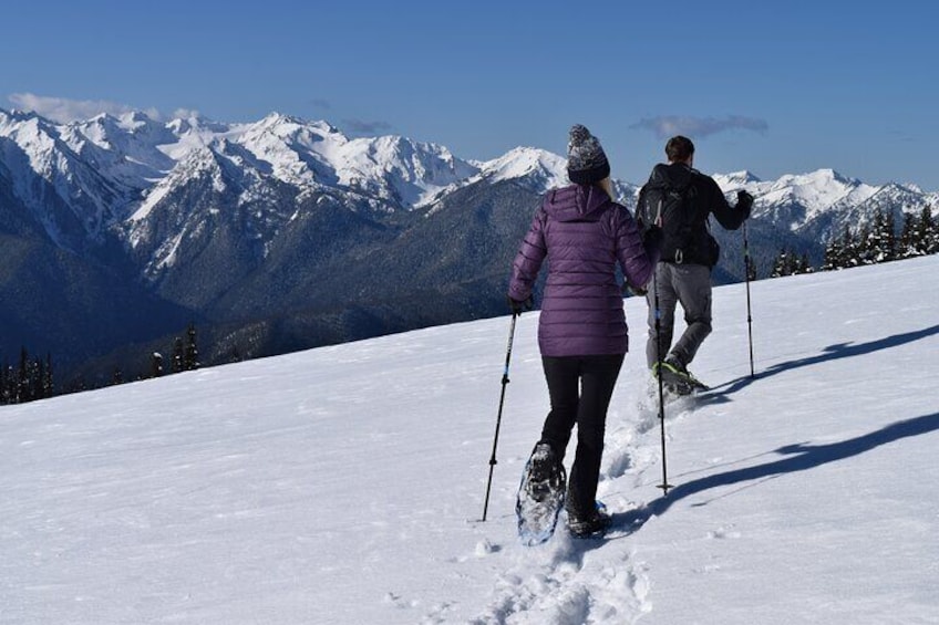 Guided Snowshoeing Tours atop Hurricane Ridge