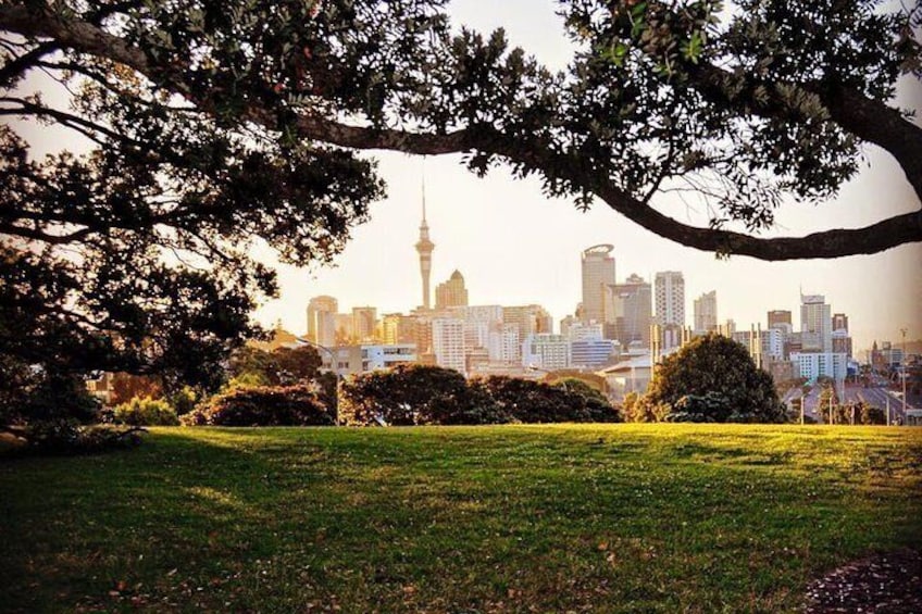 The best of Auckland city walking tour