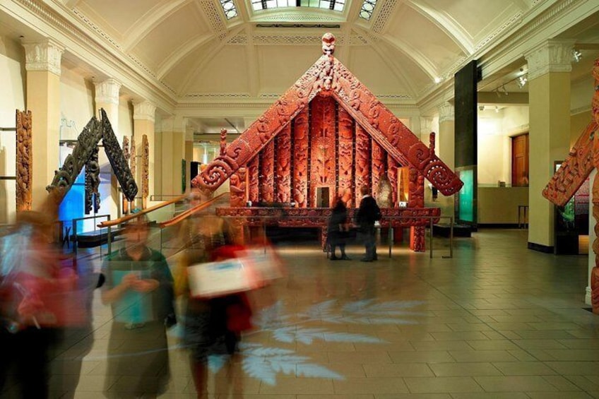The best of Auckland city walking tour