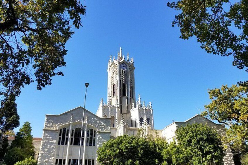 The best of Auckland city walking tour