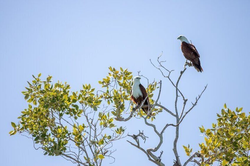 Scenic and Prehistoric Boat Tour