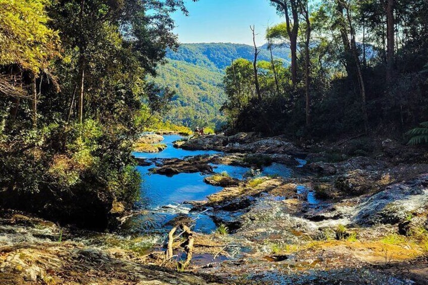 Gold Coast Day Tour From Brisbane