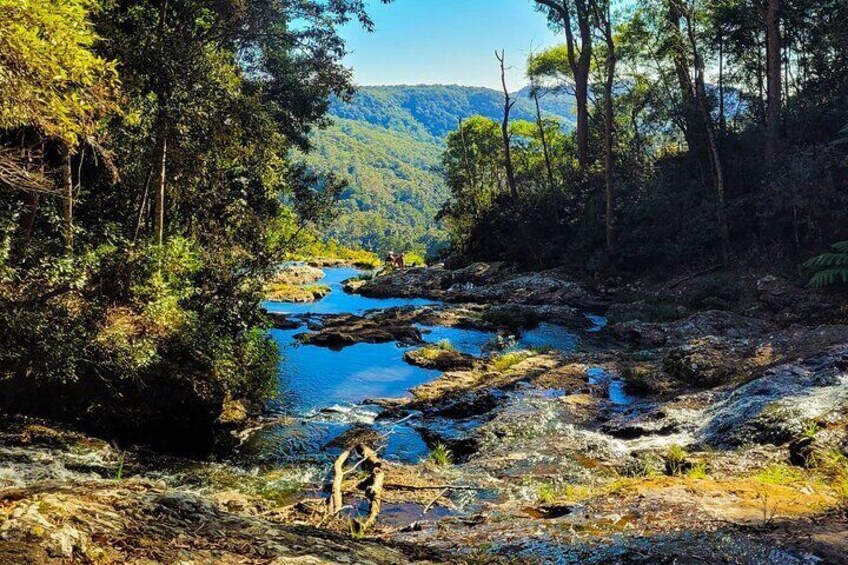 Gold Coast Day Tour From Brisbane