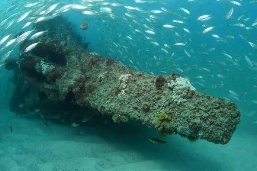 Dive the Scottish Prince Shipwreck