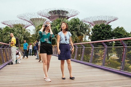 新加坡的寶藏：濱海灣花園私人之旅