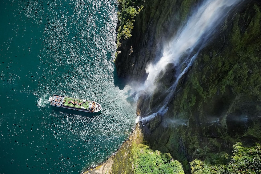 Milford Sound Nature Cruise