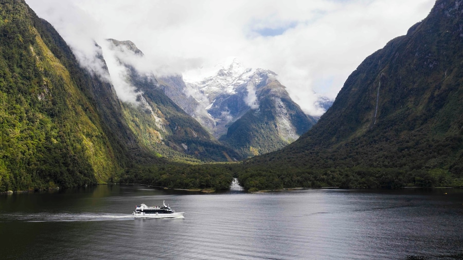Milford Sound Wilderness Cruise