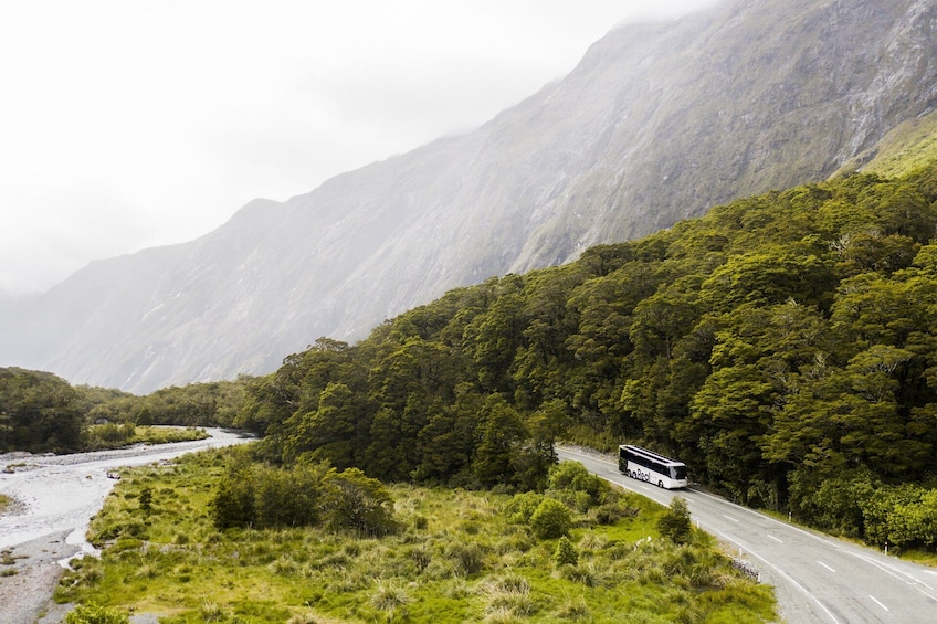 Milford Sound Wilderness Cruise