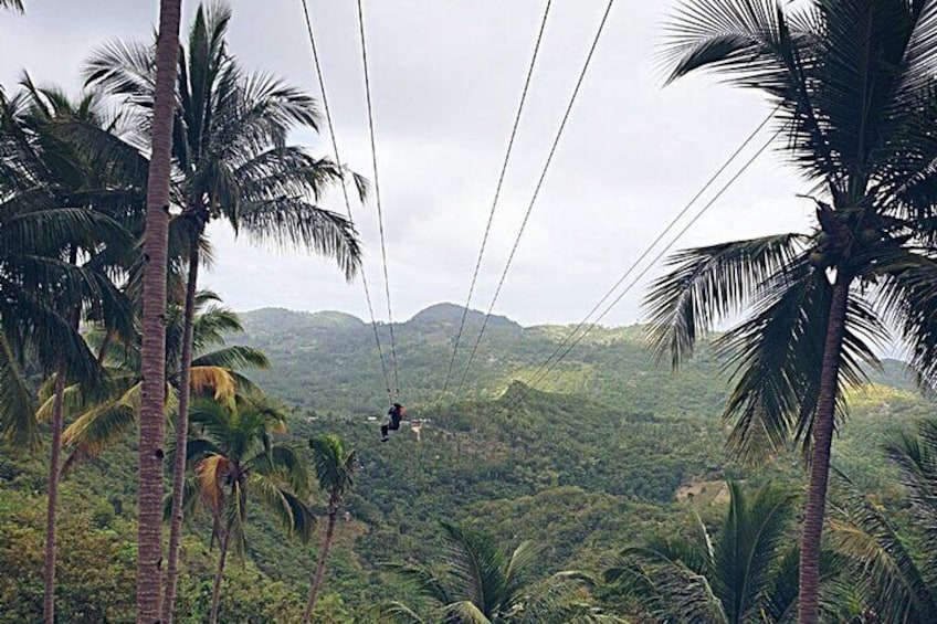 Canyoneering Experience in Kawasan Falls with Lunch