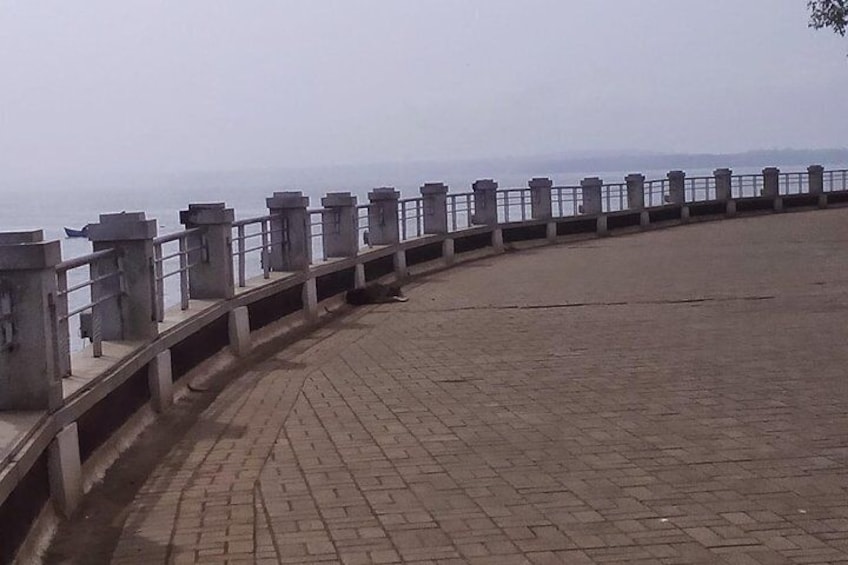 view of arabian sea