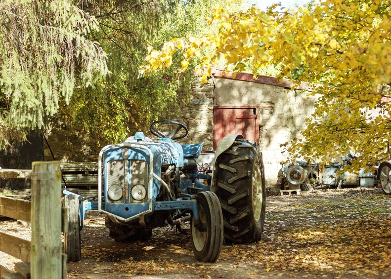 Jackson Orchards Tour