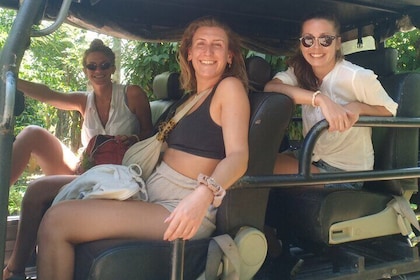 Private 4-stündige Safari-Tour im Udawalawe-Nationalpark