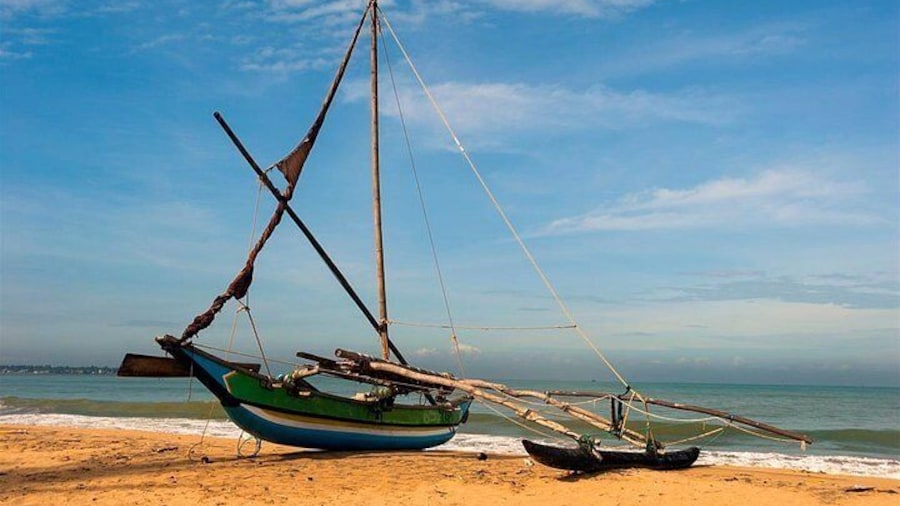Negombo Boat rides
