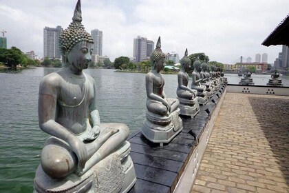 Shore Excursions Colombo highlights from Port Passenger terminal.